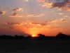 Etosha 2 113